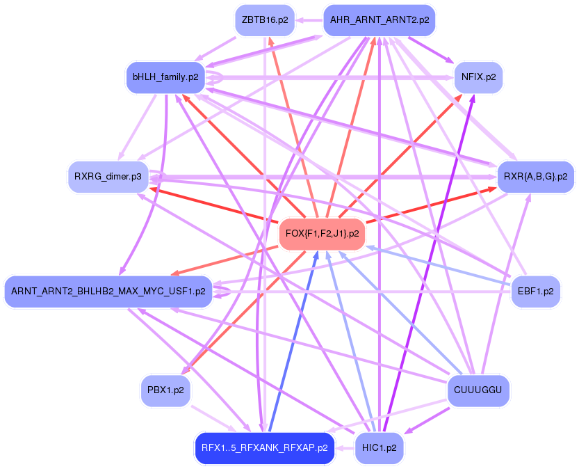 PNG image of the network